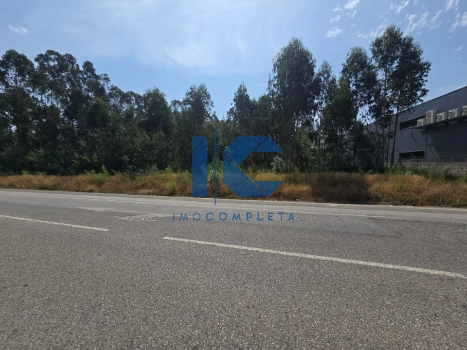 Terreno para Venda em Águeda e Borralha Foto 2