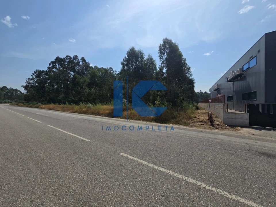 Terreno para Venda em Águeda e Borralha Foto 1