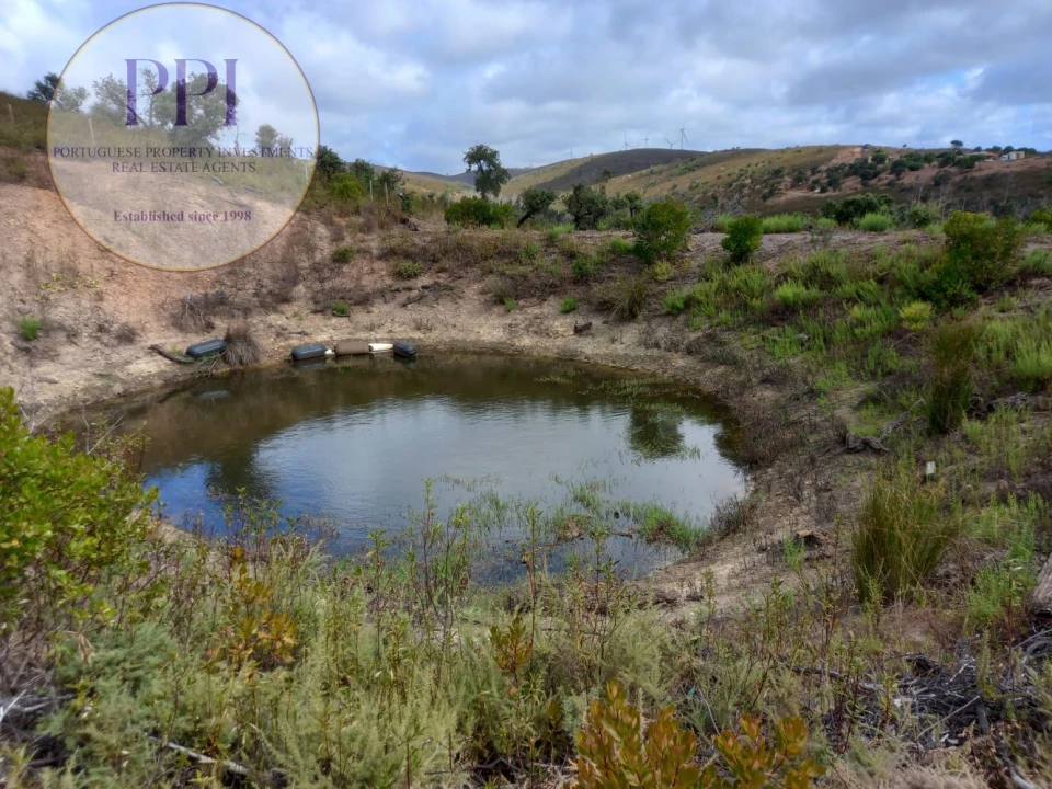 Terreno para Venda em Barão de São Miguel Foto 49
