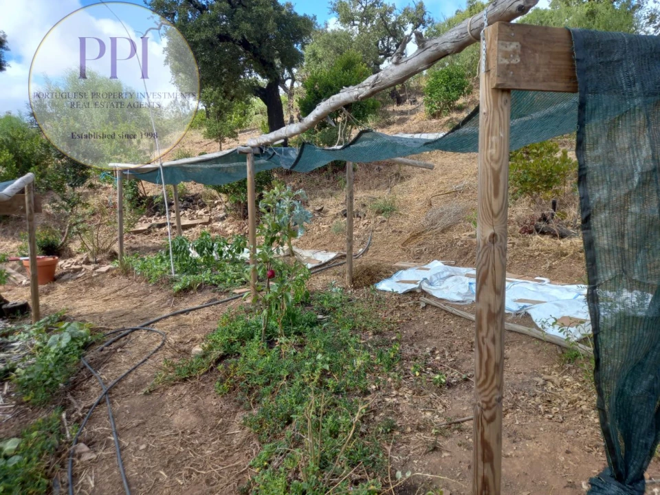 Terreno para Venda em Barão de São Miguel Foto 29