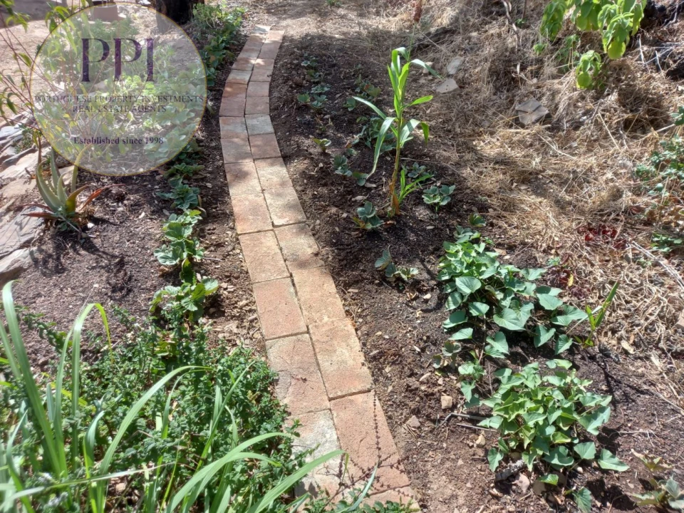 Terreno para Venda em Barão de São Miguel Foto 43
