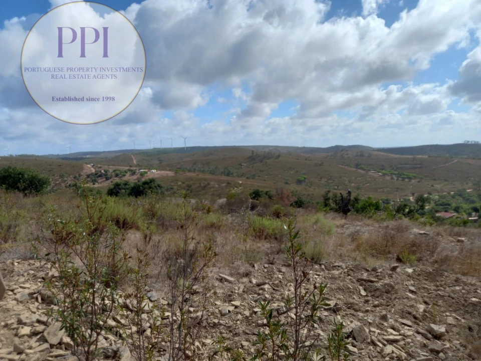 Terreno para Venda em Barão de São Miguel Foto 37