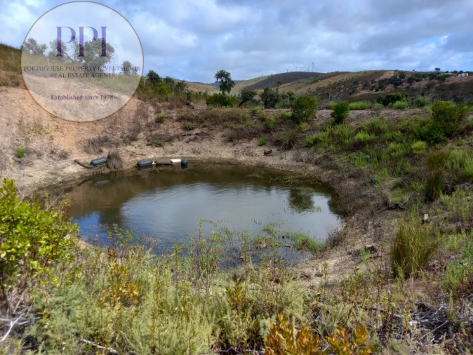 Terreno para Venda em Barão de São Miguel Foto 2