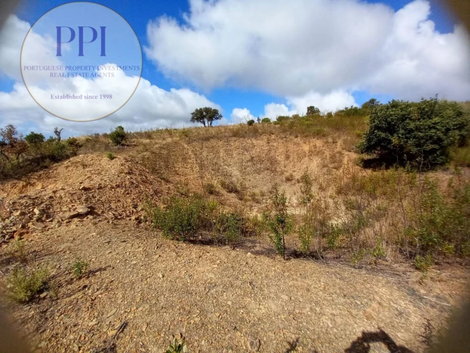 Terreno para Venda em Barão de São Miguel Foto 14