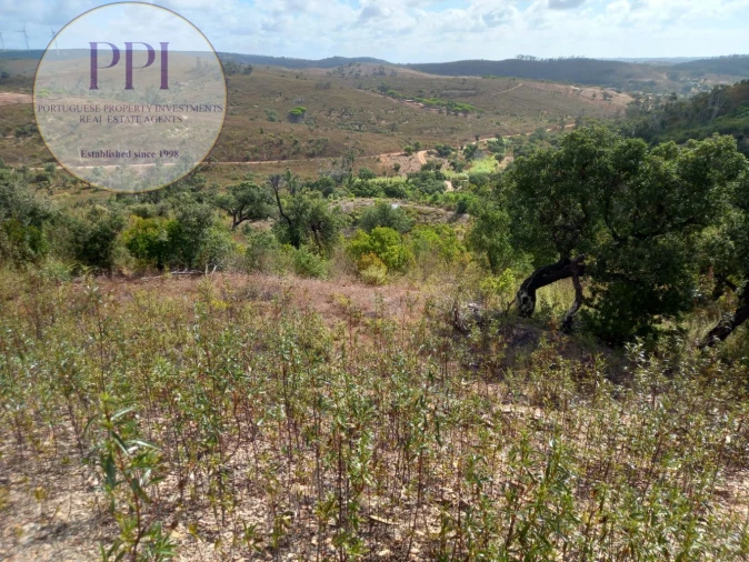 Terreno para Venda em Barão de São Miguel Foto 13