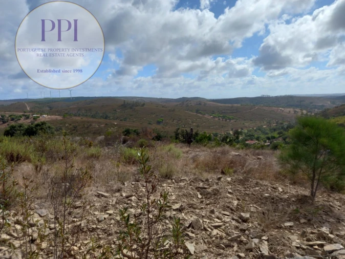 Terreno para Venda em Barão de São Miguel Foto 7