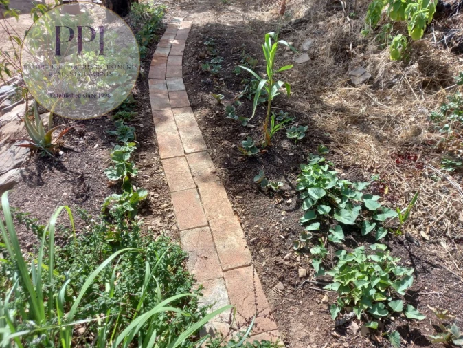 Terreno para Venda em Barão de São Miguel Foto 43