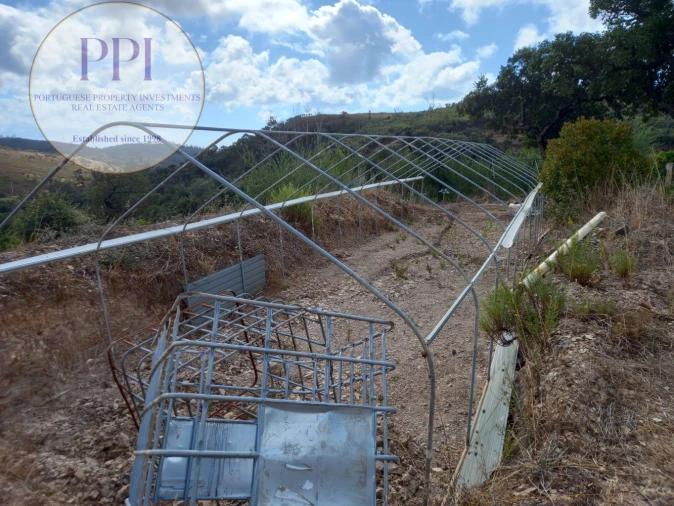 Terreno para Venda em Barão de São Miguel Foto 47