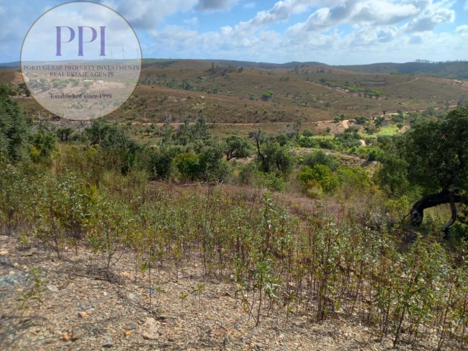 Terreno para Venda em Barão de São Miguel Foto 12
