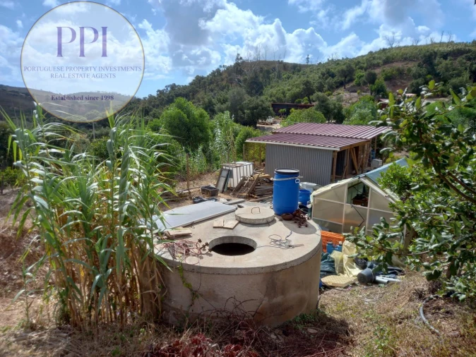 Terreno para Venda em Barão de São Miguel Foto 1