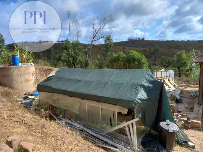 Terreno para Venda em Barão de São Miguel Foto 19