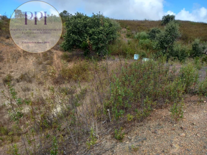 Terreno para Venda em Barão de São Miguel Foto 40