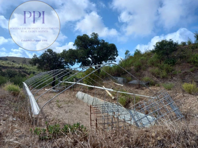 Terreno para Venda em Barão de São Miguel Foto 31