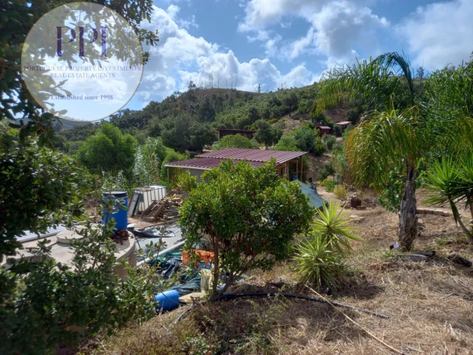 Terreno para Venda em Barão de São Miguel Foto 45