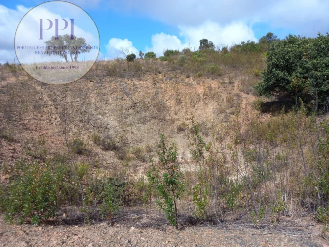 Terreno para Venda em Barão de São Miguel Foto 17
