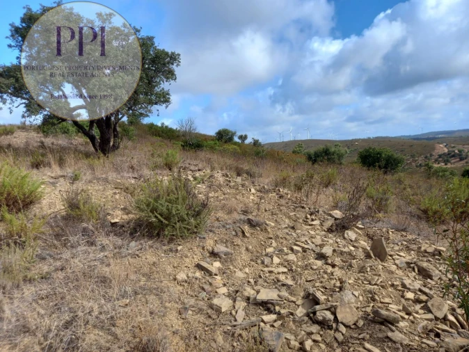 Terreno para Venda em Barão de São Miguel Foto 8