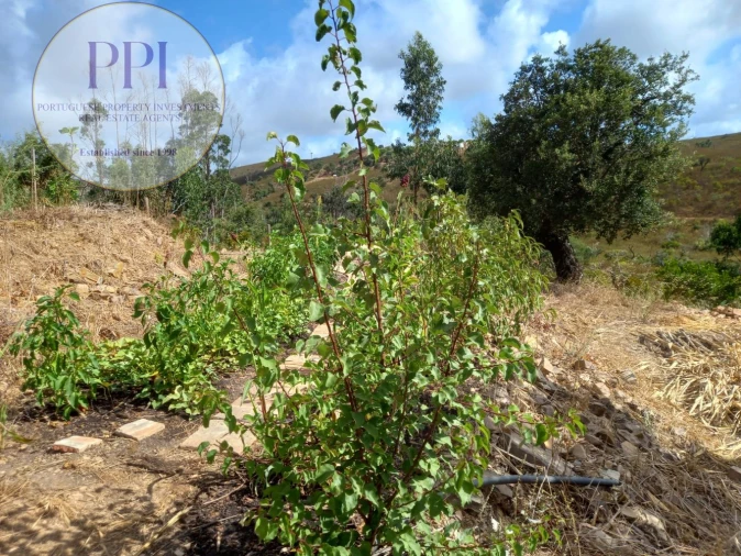 Terreno para Venda em Barão de São Miguel Foto 26