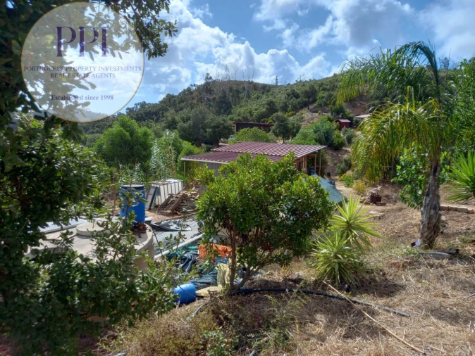 Terreno para Venda em Barão de São Miguel Foto 27