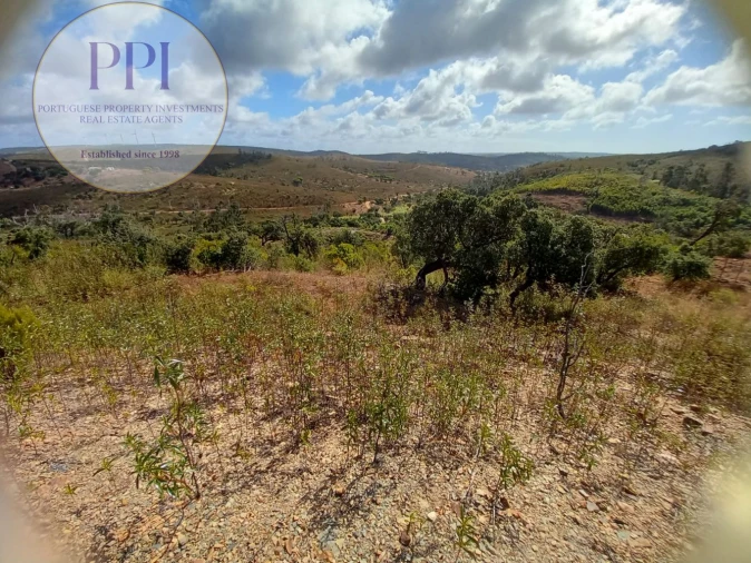 Terreno para Venda em Barão de São Miguel Foto 16