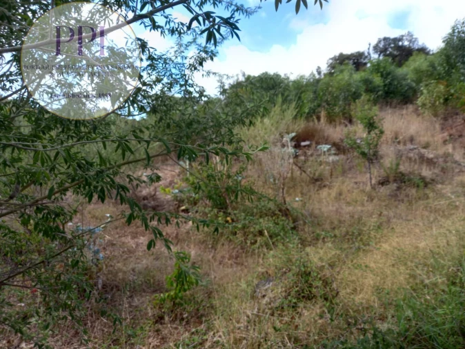 Terreno para Venda em Barão de São Miguel Foto 48