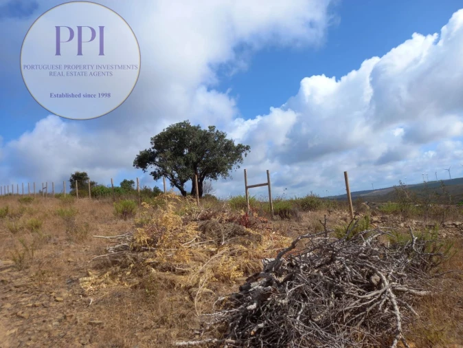 Terreno para Venda em Barão de São Miguel Foto 5