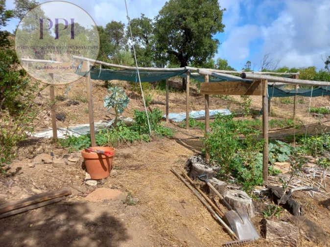 Terreno para Venda em Barão de São Miguel Foto 44