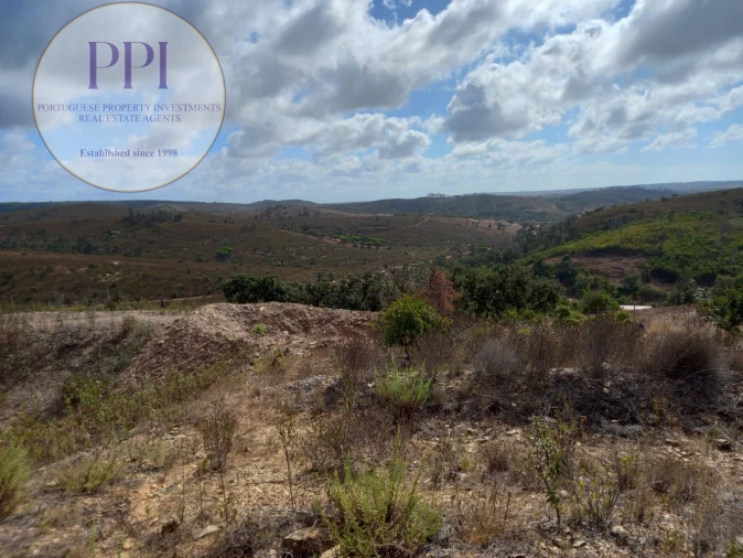 Terreno para Venda em Barão de São Miguel Foto 9