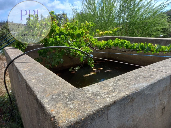 Terreno para Venda em Barão de São Miguel Foto 32