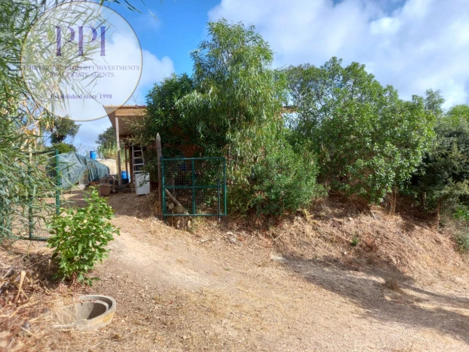 Terreno para Venda em Barão de São Miguel Foto 6