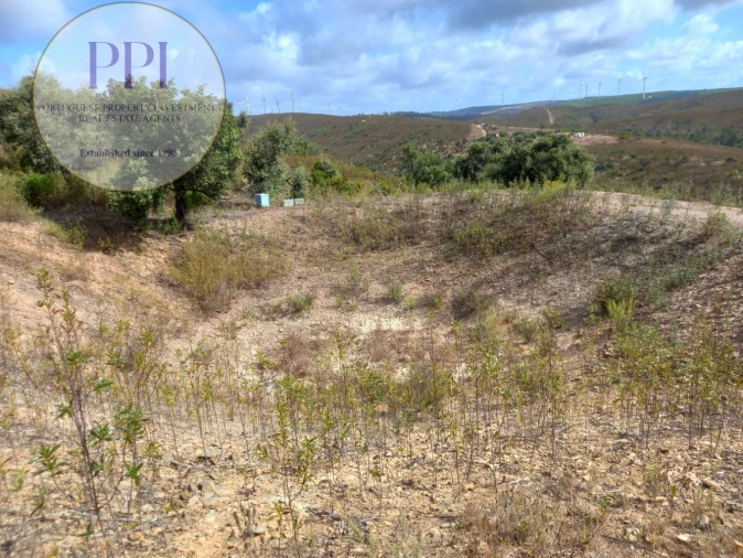 Terreno para Venda em Barão de São Miguel Foto 10