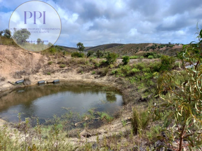 Terreno para Venda em Barão de São Miguel Foto 34