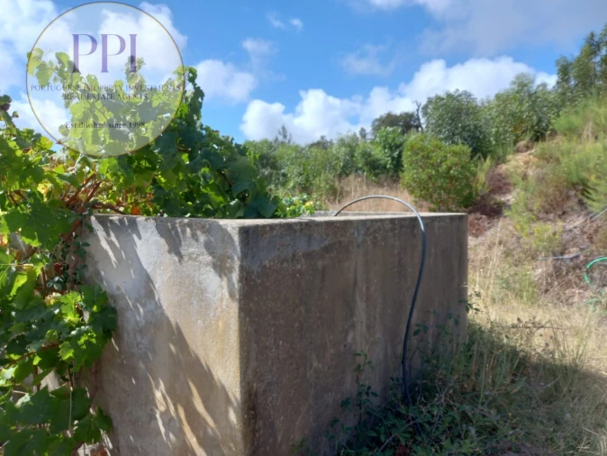 Terreno para Venda em Barão de São Miguel Foto 4