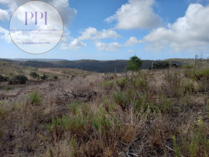 Terreno para Venda em Barão de São Miguel Foto 15