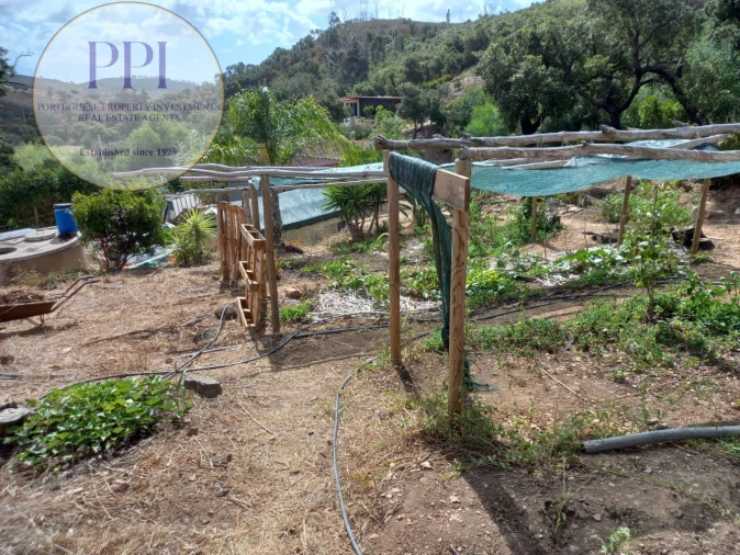 Terreno para Venda em Barão de São Miguel Foto 36
