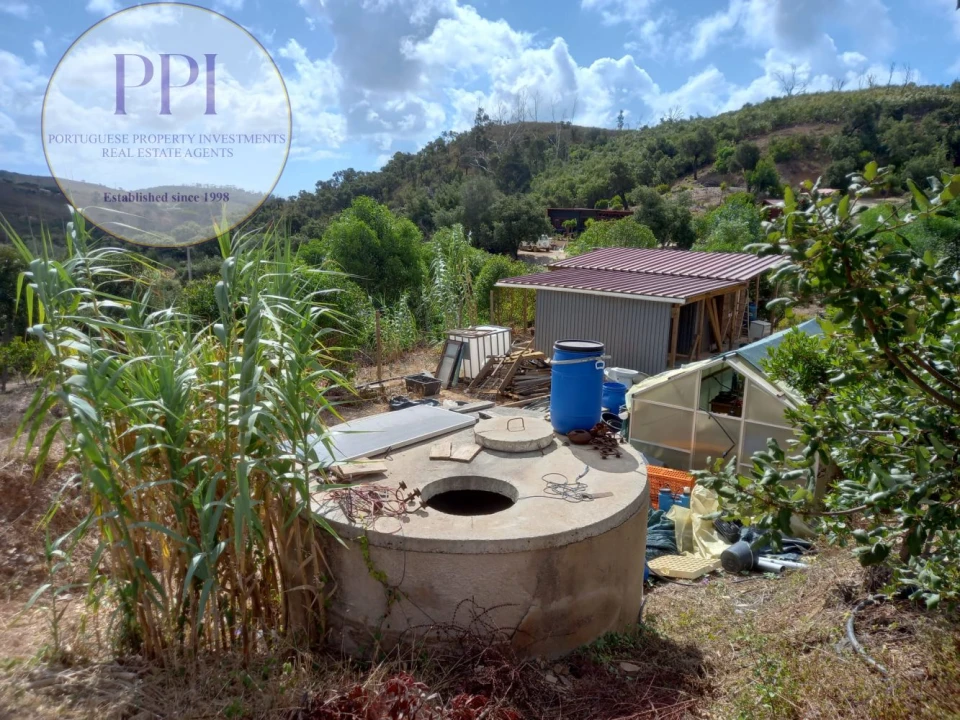 Terreno para Venda em Barão de São Miguel Foto 1