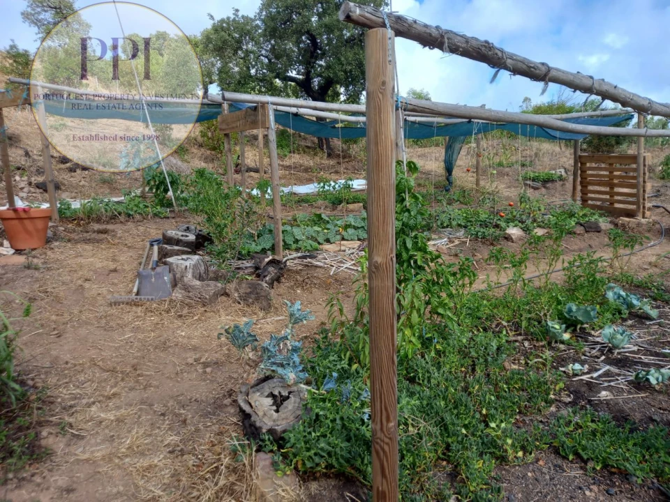 Terreno para Venda em Barão de São Miguel Foto 42