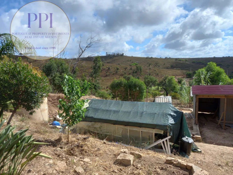 Terreno para Venda em Barão de São Miguel Foto 25