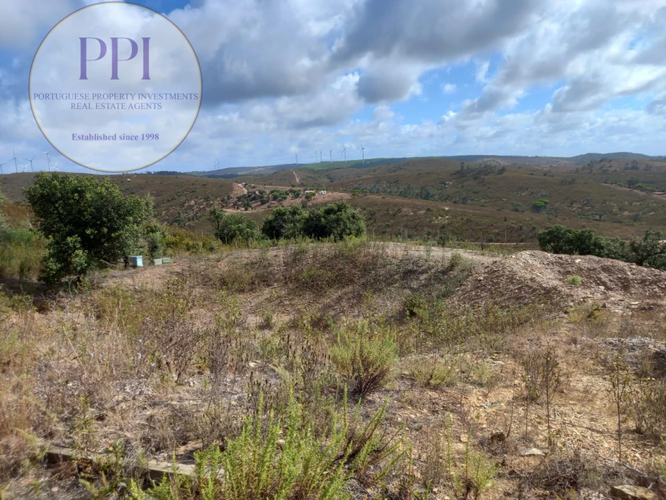 Terreno para Venda em Barão de São Miguel Foto 38