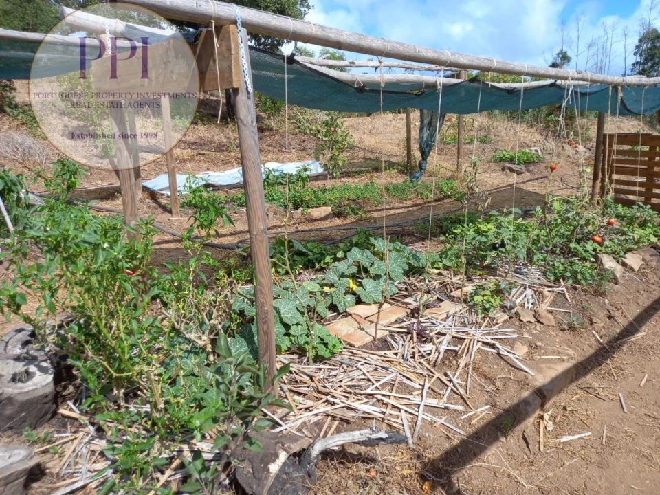 Terreno para Venda em Barão de São Miguel Foto 18