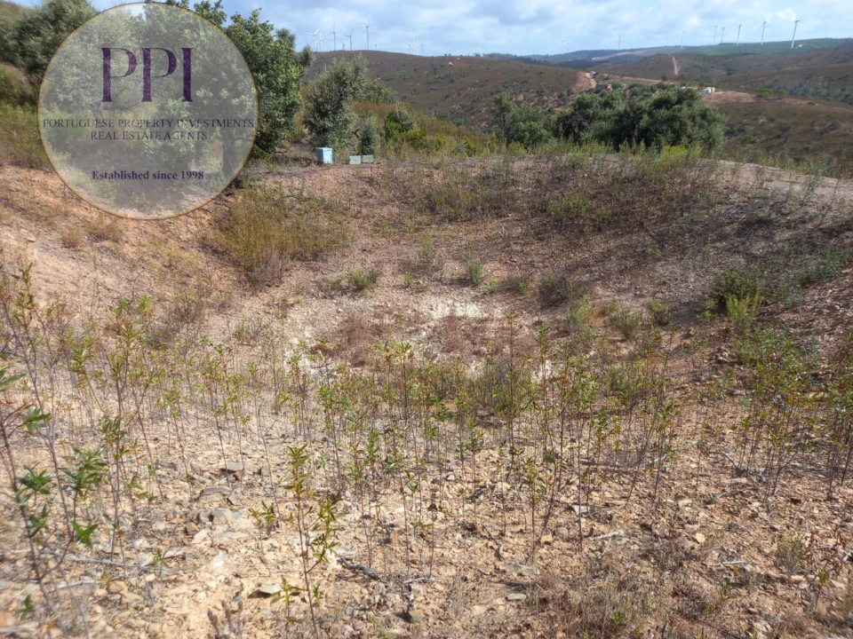 Terreno para Venda em Barão de São Miguel Foto 39