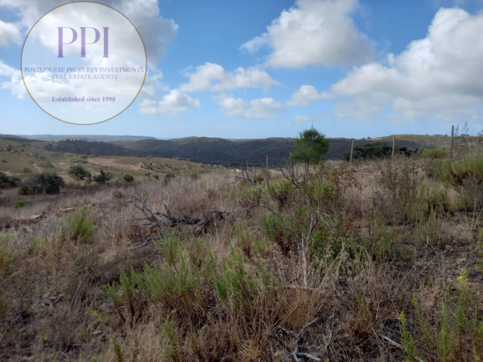 Terreno para Venda em Barão de São Miguel Foto 15