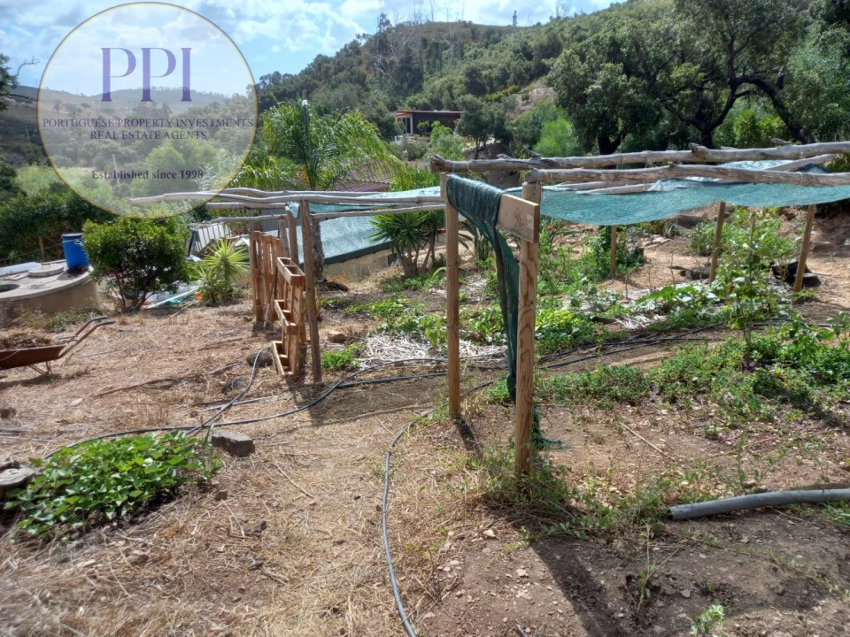 Terreno para Venda em Barão de São Miguel Foto 36