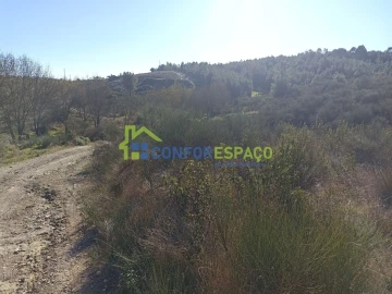 Terreno para Venda em Castelo Branco