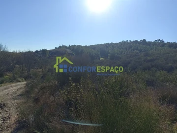 Terreno para Venda em Castelo Branco