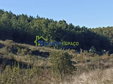 Terreno para Venda em Castelo Branco
