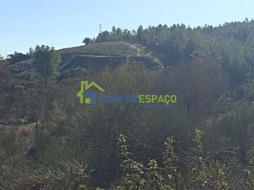 Terreno para Venda em Castelo Branco