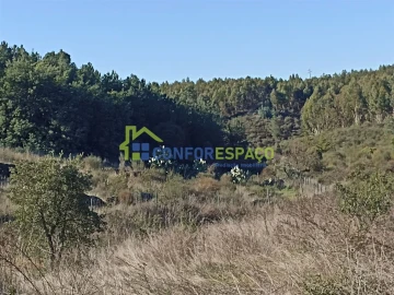 Terreno para Venda em Castelo Branco