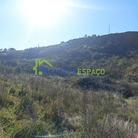 Terreno para Venda em Castelo Branco