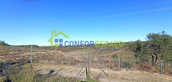 Terreno para Venda em Castelo Branco