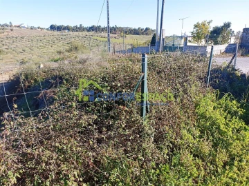 Terreno para Venda em Castelo Branco
